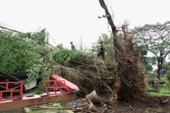 Angin Kencang Tumbangkan Pohon dan Rusak Bangunan di Taman Reptil Purbalingga