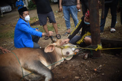 KNPI Salurkan 6.000 Kantong Daging Kurban