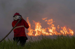 Pemadaman Kebakaran Lahan di Pemulutan Sumsel