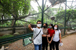 Wahana Taman Burung TMII Mulai Dibuka Untuk Rekreasi