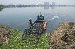 Pembersihan Sampah di Waduk Pluit Sebagai Langkah Atasi Banjir