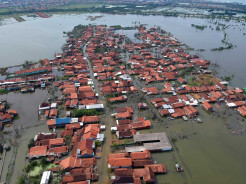 Banjir Rob Rendam Ratusan Rumah Warga di Pekalongan