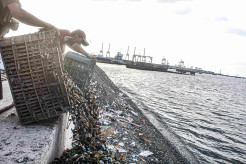 Limbah Kerang Hijau Menumpuk di Tepi Laut Cilincing