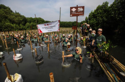 Jayamix By SCG Tanam Bibit Mangrove untuk Hadapi Perubahan Iklim