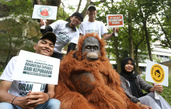 Kehati dan OIC Gelar Road Show Kampanye Peduli Orangutan Tapanuli