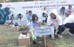 Penanaman 2.000 Bibit Pohon Kayu Merah untuk Konservasi dan Restorasi Hutan