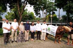 ACC Serahkan Ratusan Hewan Kurban pada Perayaan Idul Adha 1445 H