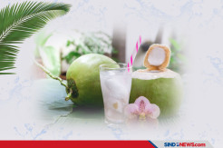 Khasiat Air Kelapa Bagi Penderita Covid-19 dengan Komorbid