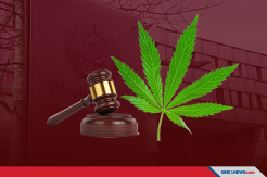 PBB Hapus Ganja dari Daftar Narkoba Paling Berbahaya