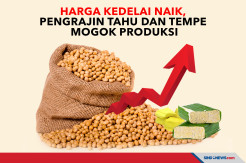 Harga Kedelai Naik, Pengrajin Tahu dan Tempe Mogok Produksi