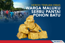 Heboh Temuan Emas, Warga Maluku Serbu Pantai Pohon Batu