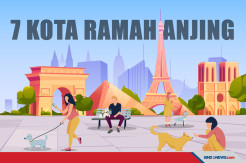 Ini 7 Kota-Kota di Dunia yang Paling Ramah Terhadap Anjing