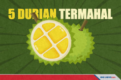 5 Durian Paling Mahal, Ada yang Harganya Mencapai Ratusan Juta