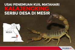 Usai Penemuan Kuil Matahari, Kalajengking Serbu Desa di Mesir