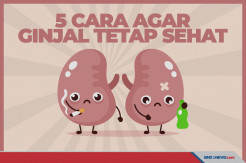 Tips Sederhana Menjaga Agar Ginjal Tetap Selalu Sehat