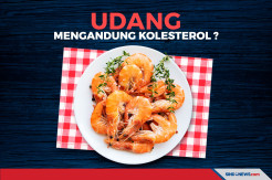 Udang Sangat Rendah Lemak Jenuh, Apakah Mengandung Kolesterol ?