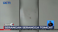 Serangan Tomcat Penuhi RSUD Sosodoro Jatikusumo, Bojonegoro