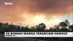 Kebakaran Hutan di Amerika Serikat, Ratusan Hektar Hutan Hangus