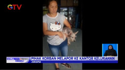 Serangan Anjing Gigit Seorang ART