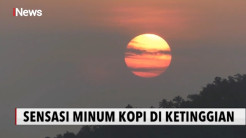 Nikmati Pemandangan Indah Ditemani Secangkir Kopi di Kawasan Pule Payung Yogyakarta