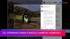 Isu Pembangunan di Taman Nasional Komodo Ganggu Habitat Komodo