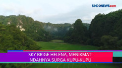 Sky Brige Helena, Menikmati  Indahnya Surga Kupu-Kupu