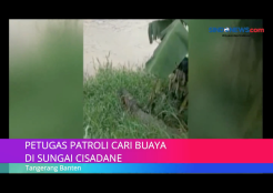 Petugas Patroli Disungai Cisadane Tangerang Cari Buaya