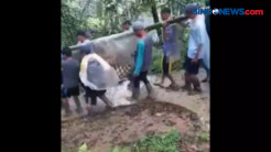 Unggahan Video Ibu Hamil Ditandu Warga Berujung Bui