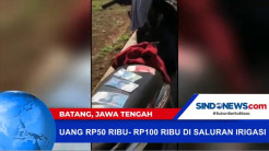 Warga Temukan Uang Rp50 Ribu- Rp100 Ribu di Saluran Irigasi