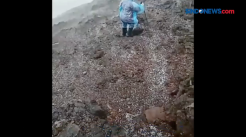 Diterjang Hujan Es dan Badai, Pendaki Gunung Slamet Dievakuasi