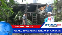 Pencurian 9 Kambing