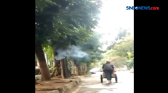 Kejadian Aneh, Sebuah Pohon Mengeluarkan Asap di Bandung