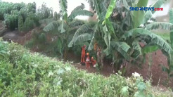 Berniat Loncat Ke Sungai Namun Jatuh di Bantaran Kali