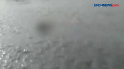 Sosok Wanita Terapung di Sungai, Diduga Terpeleset