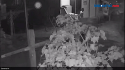 Dikira Kolor Ijo, Maling Bugil Tertangkap CCTV di Jambi