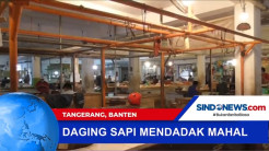 Harga Daging Sapi Mendadak Mahal, Pedagang Kesulitan Berjualan
