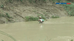Seorang Ibu Nekat Seberangi Sungai, Saat Warga Mencari Kakek Hanyut