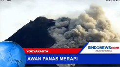 Gunung Merapi Semburkan Awan Panas, Jarak Luncur 1.500 Meter