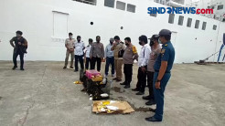 Petugas Pelabuhan Parepare Gagalkan Penyelundupan Hewan Dilindungi