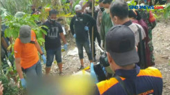 Heboh, Penemuan Jasad Pria di Ladang Jagung