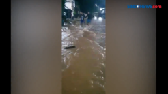 Warga Tangkap Ular Sanca Batik Sepanjang 3 Meter saat Banjir