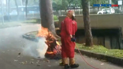Ancam Keselamatan Pemotor, Sarang Tawon Dibakar Petugas