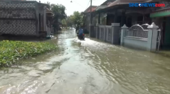 Anak Sungai Bengawan Solo Meluap, Ribuan Rumah di Lamongan Terendam