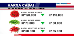 Harga Cabai Meroket, Tembus Rp150 Ribu per Kg