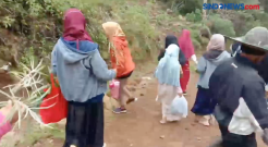 Puluhan Ibu Berburu Tanaman Hias di Hutan Jeneponto