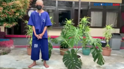 Pelaku Pencuri Tanaman Hias di Pontianak Terekam CCTV