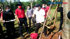 Sejumlah Menteri Ikuti Aksi Tanam Pohon di Pintu 7 GBK