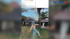 Video Viral Pelajar SMA di Bengkulu Kelola Investasi Bodong