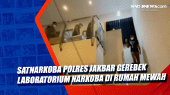 Satnarkoba Polres Jakbar...