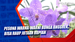 Pesona Warna-warni Bunga...